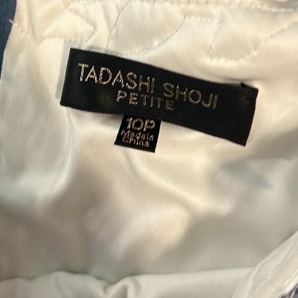 Tadashi Shoji, FARRAH DRESS,($498)Low V-Neck,Truly Gorgeous Work of Art,Size 10P - Picture 4 of 12